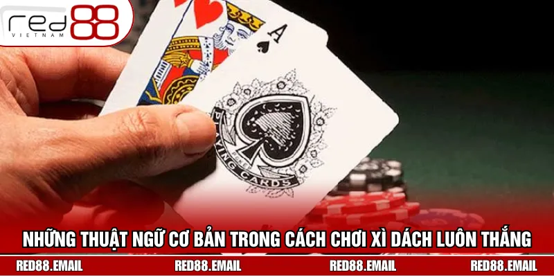 Hướng Dẫn Cách Chơi Xì Dách Luôn Thắng Chuẩn Nhất 2025 Những thuật ngữ cơ bản trong cách chơi xì dách luôn thắng