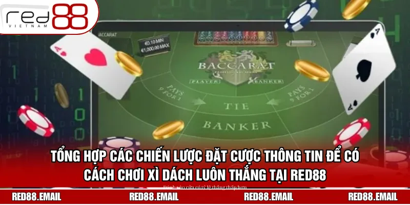 Hướng Dẫn Cách Chơi Xì Dách Luôn Thắng Chuẩn Nhất 2025 Tổng hợp các chiến lược đặt cược thông tin để có cách chơi xì dách luôn thắng tại RED88